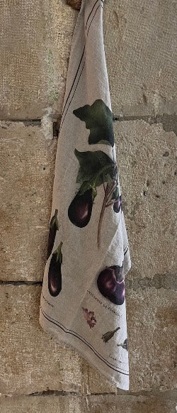 Paño de Cocina Aubergine vicent jeannerot