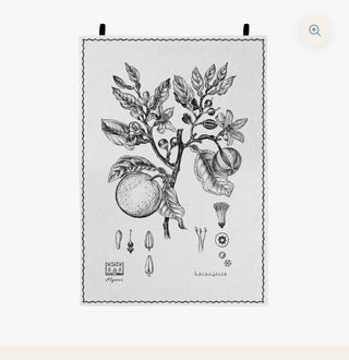 Paño de cocina de Luz Editions, Colección Botánica. Naranjo