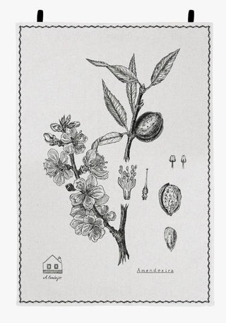 Paño de Cocina de Luz Editions, Colección Botánica. Almendro